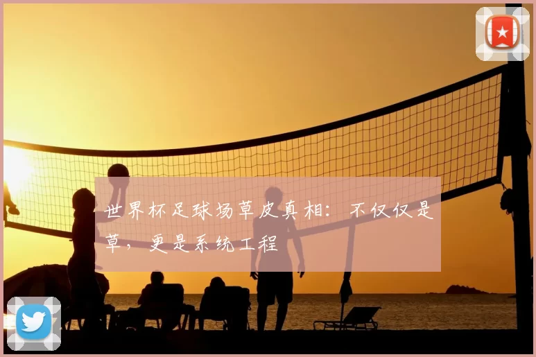 世界杯足球场草皮真相:不仅仅是草,更是系统工程