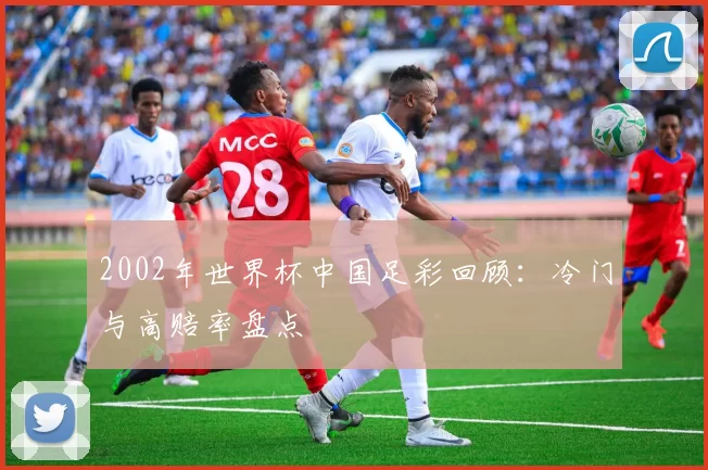 2002年世界杯中国足彩回顾：冷门与高赔率盘点