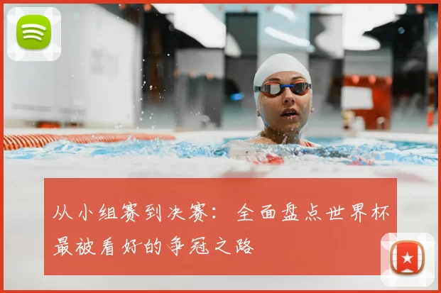 从小组赛到决赛:全面盘点世界杯最被看好的争冠之路
