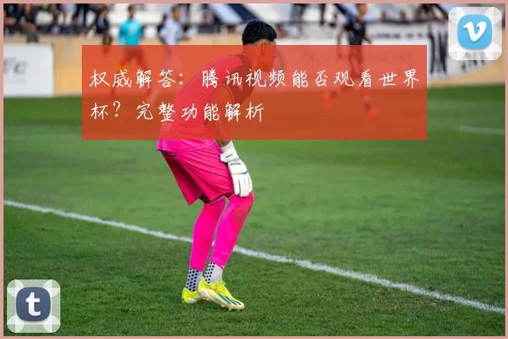权威解答：腾讯视频能否观看世界杯？完整功能解析