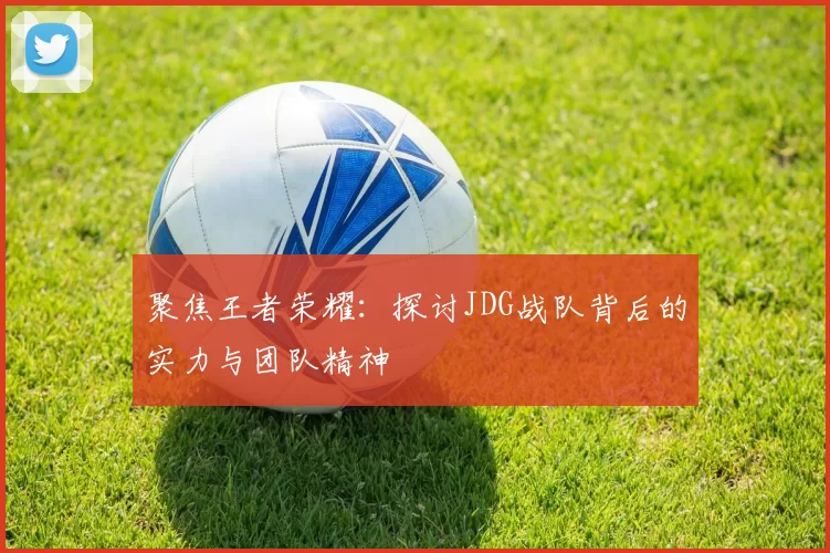 聚焦王者荣耀：探讨JDG战队背后的实力与团队精神