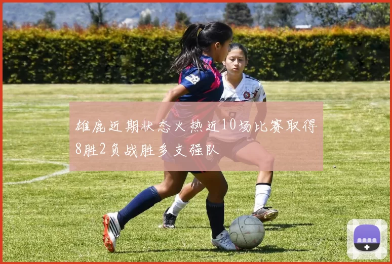 雄鹿近期状态火热近10场比赛取得8胜2负战胜多支强队