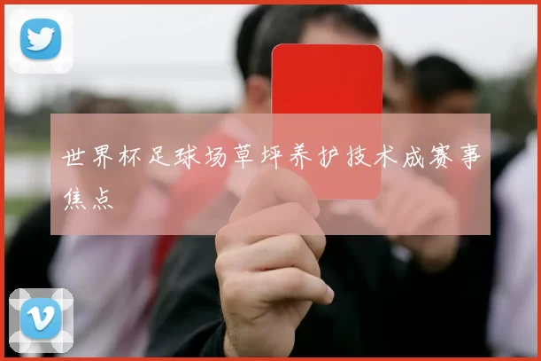 世界杯足球场草坪养护技术成赛事焦点