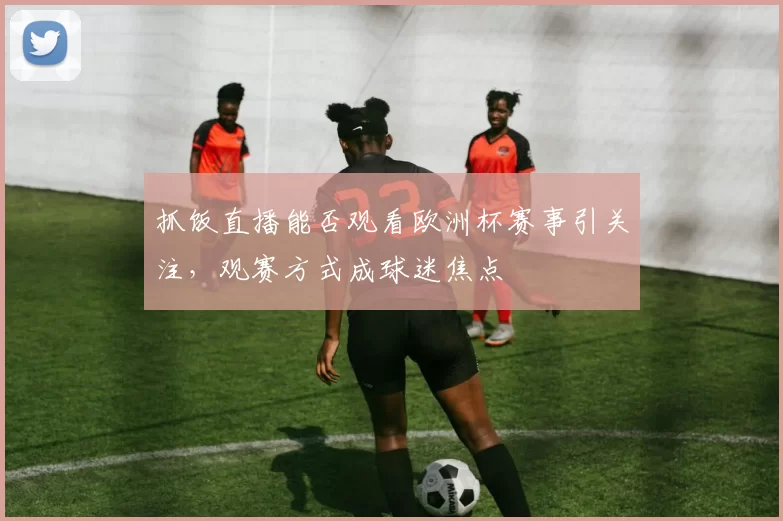 抓饭直播能否观看欧洲杯赛事引关注,观赛方式成球迷焦点