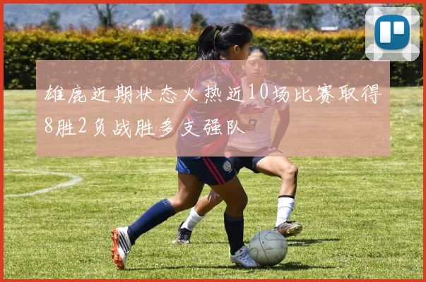 雄鹿近期状态火热近10场比赛取得8胜2负战胜多支强队