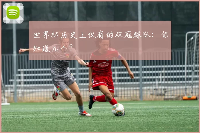 世界杯历史上仅有的双冠球队:你知道几个?
