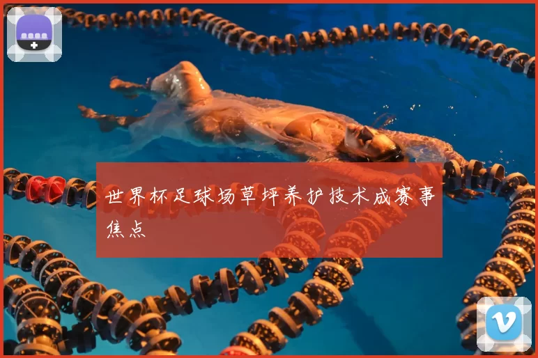 世界杯足球场草坪养护技术成赛事焦点