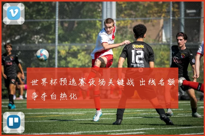 世界杯预选赛夜场关键战 出线名额争夺白热化