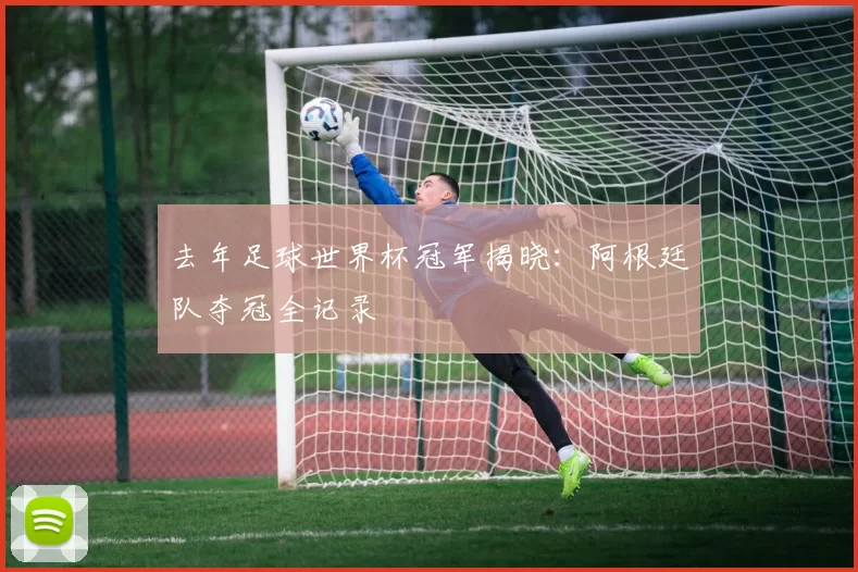 去年足球世界杯冠军揭晓:阿根廷队夺冠全记录