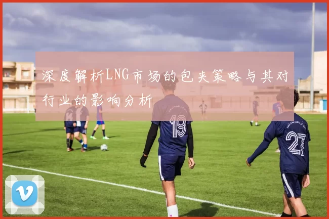 深度解析LNG市场的包夹策略与其对行业的影响分析