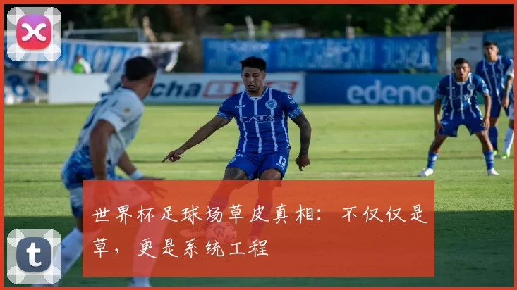 世界杯足球场草皮真相:不仅仅是草,更是系统工程