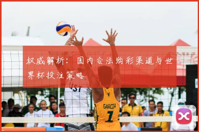 权威解析：国内合法购彩渠道与世界杯投注策略